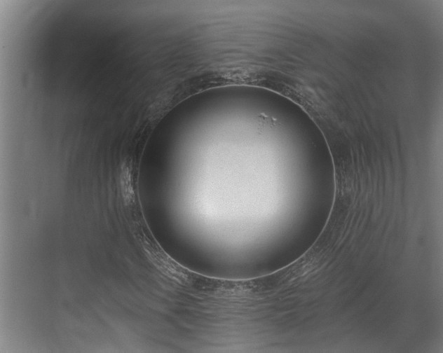 X0000071351106200606261334