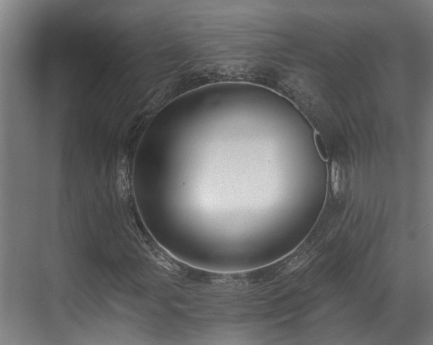 X0000071351107200606261334