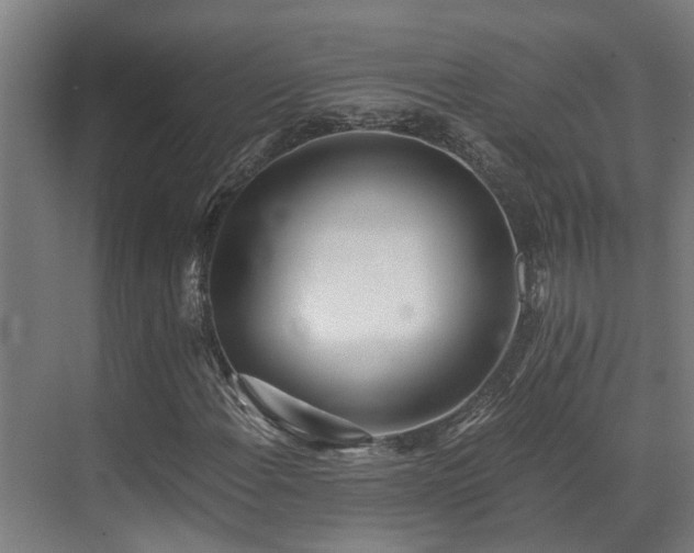 X0000071351108200606261334