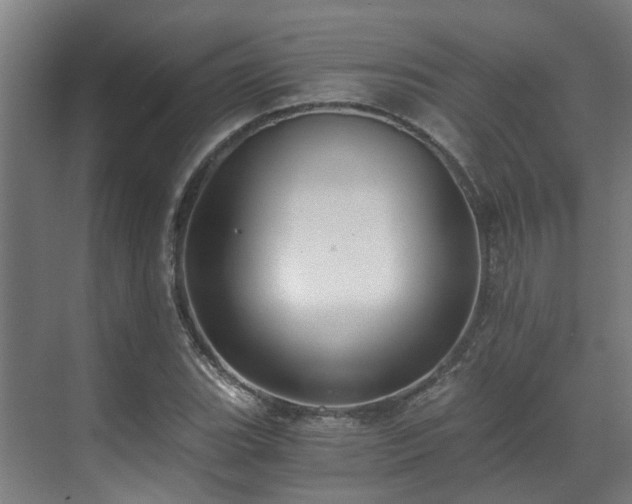 X0000071351119200606261334