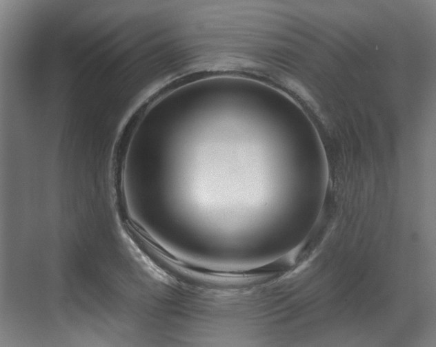 X0000071351122200606261334