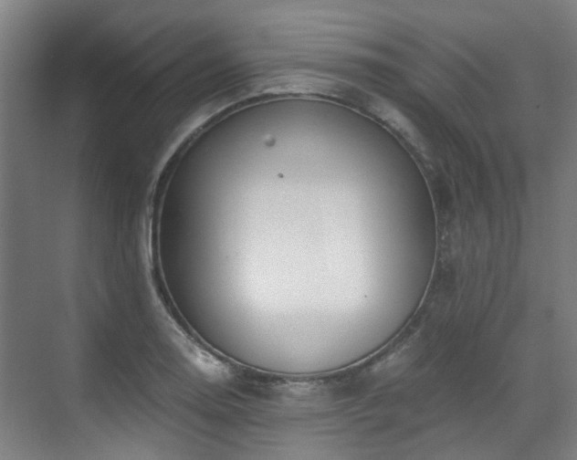 X0000071351130200606261335