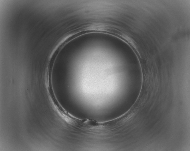 X0000071351131200606261335