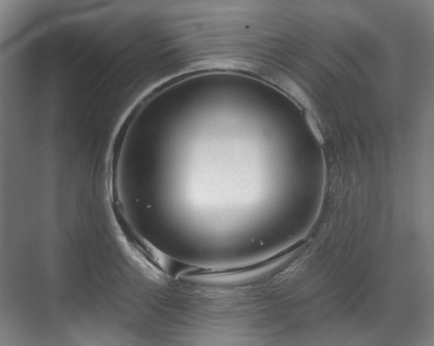 X0000071351132200606261335