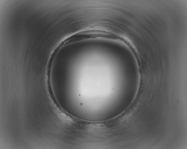 X0000071351133200606261335