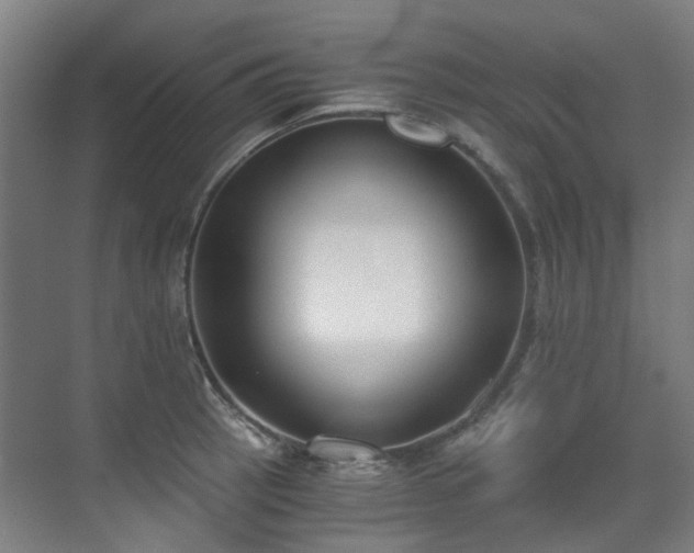 X0000071351137200606261335