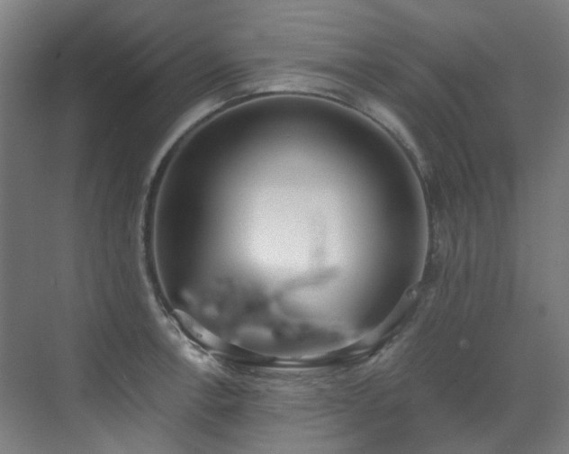 X0000071351138200606261335