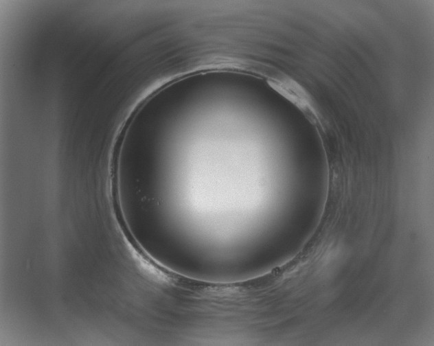 X0000071351143200606261335