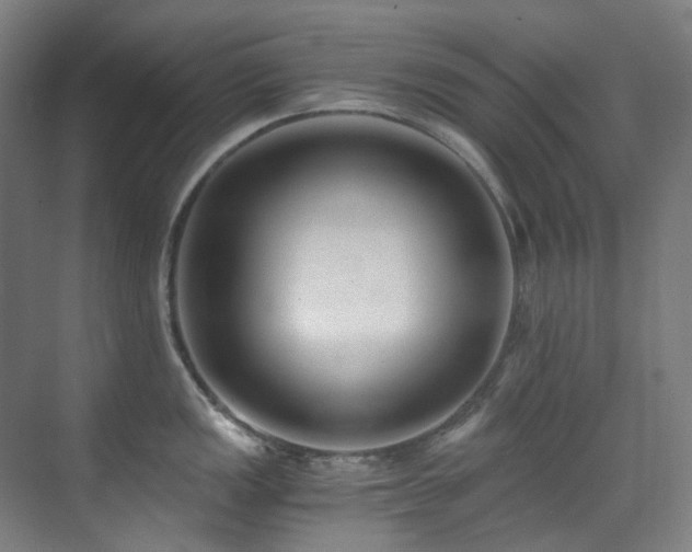 X0000071351149200606261335