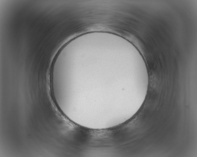 X0000071351150200606261335