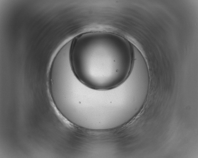 X0000071351152200606261335