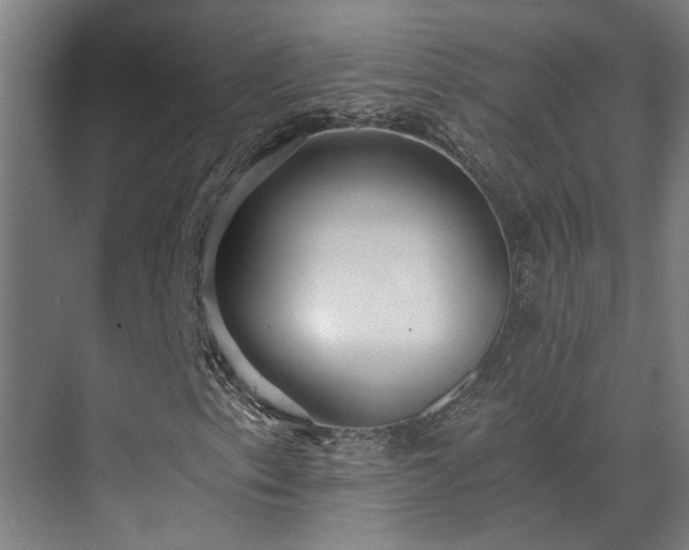 X0000071351153200606261334