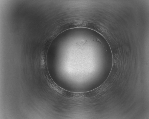 X0000071351154200606261334