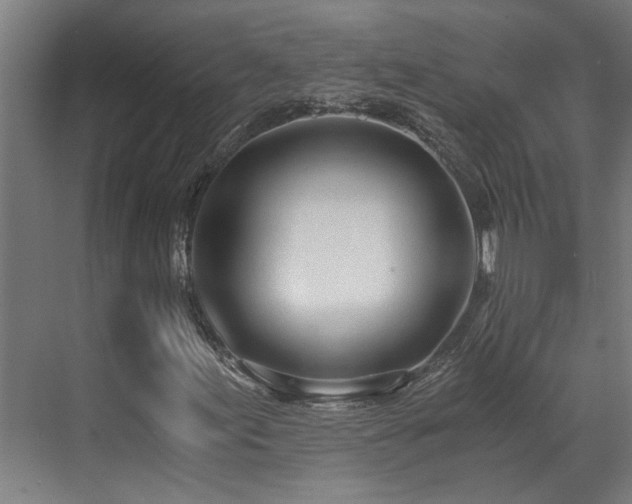 X0000071351155200606261334