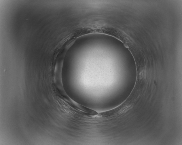 X0000071351156200606261334