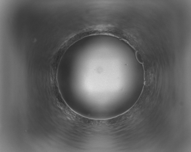 X0000071351158200606261334