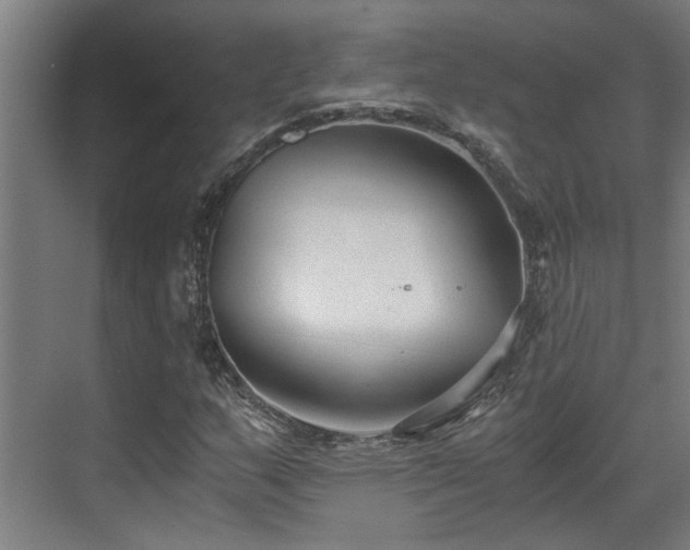 X0000071351159200606261334