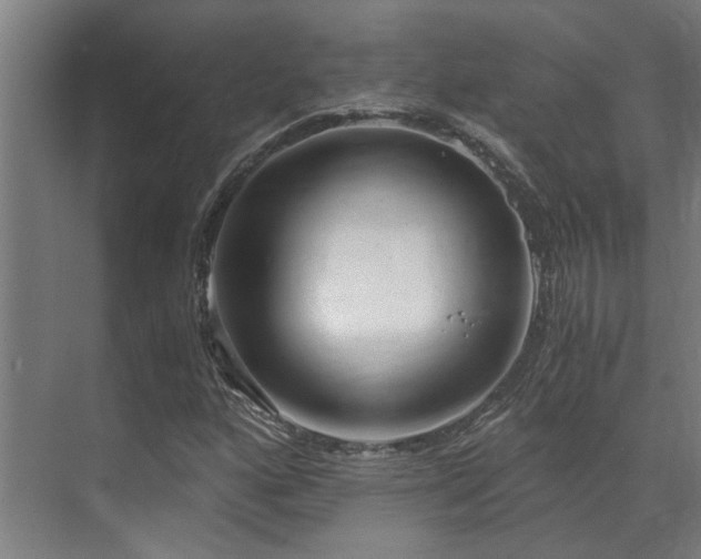 X0000071351160200606261334