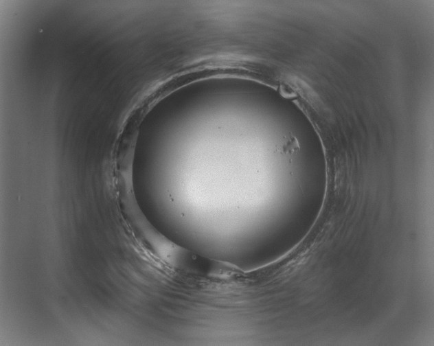 X0000071351164200606261334