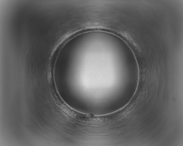 X0000071351167200606261334