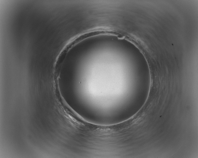 X0000071351168200606261334