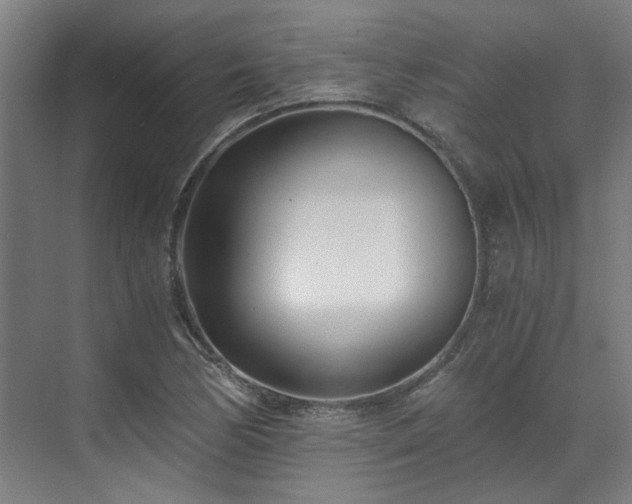 X0000071351170200606261334