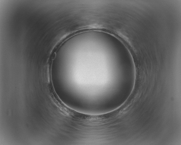 X0000071351171200606261334