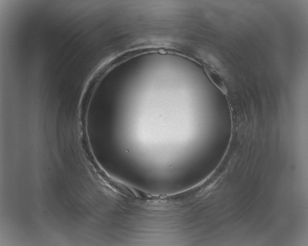 X0000071351172200606261334