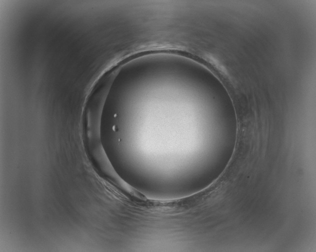 X0000071351173200606261334