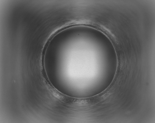 X0000071351174200606261334