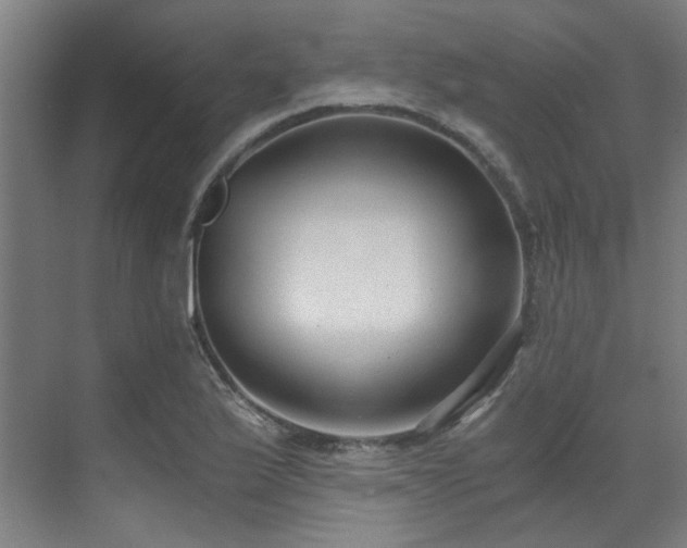 X0000071351175200606261334