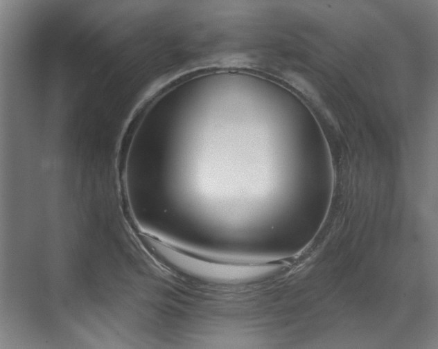 X0000071351176200606261334