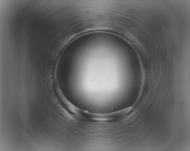 X0000071351177200606261334