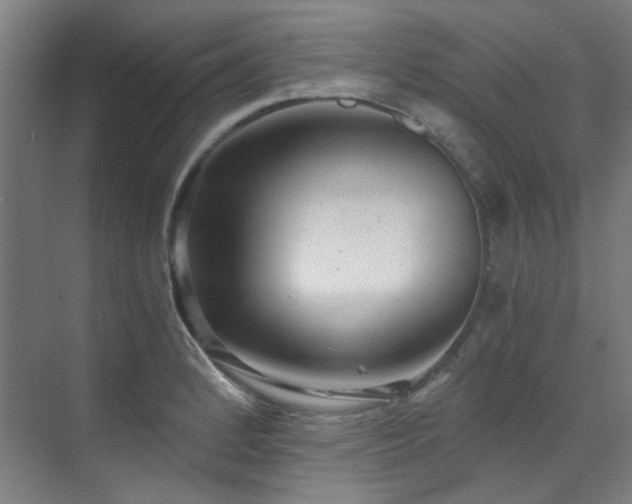 X0000071351184200606261334