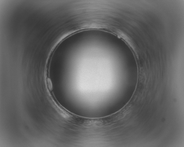 X0000071351187200606261334