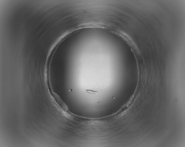 X0000071351188200606261334