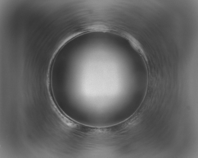 X0000071351195200606261333