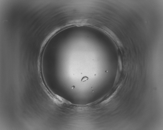 X0000071351196200606261333