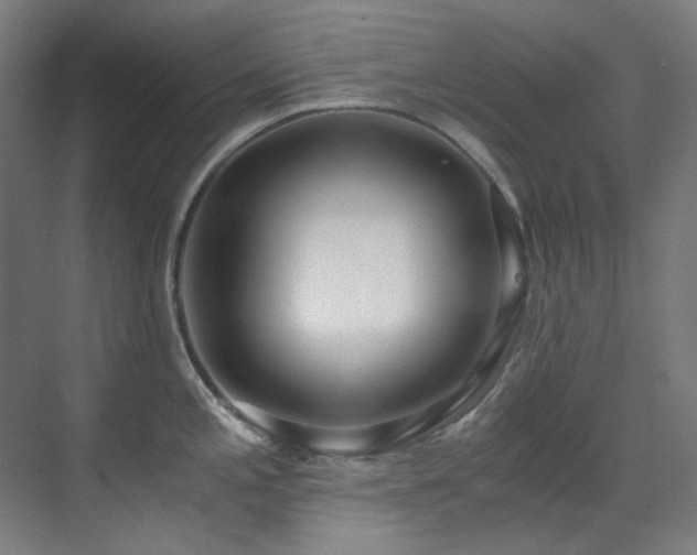 X0000071351197200606261333