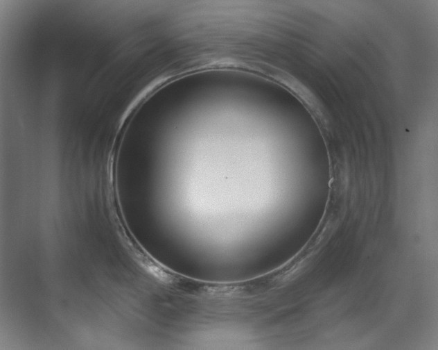 X0000071351198200606261333