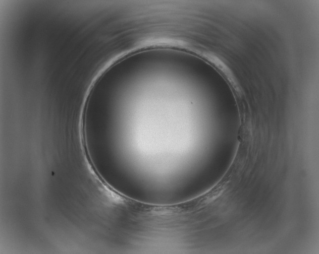 X0000071351199200606261333