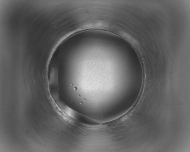 X0000071351200200606261333