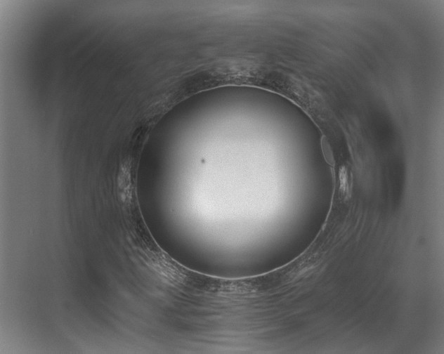 X0000071351203200606261333