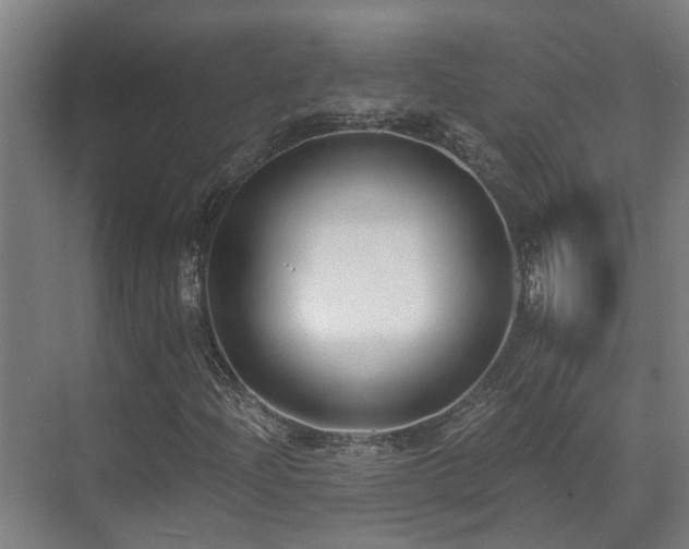 X0000071351204200606261333