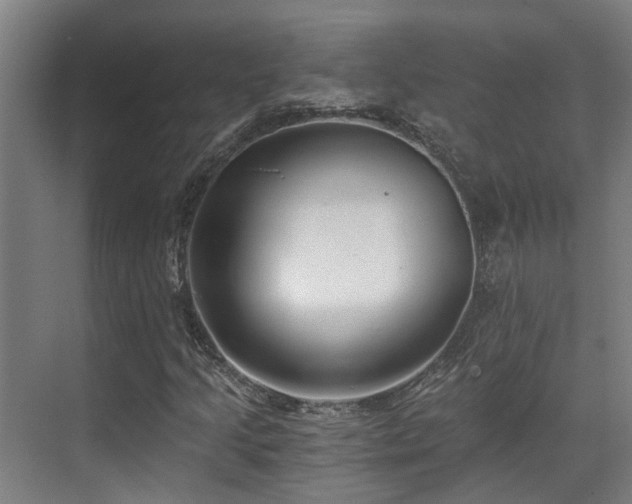 X0000071351205200606261333