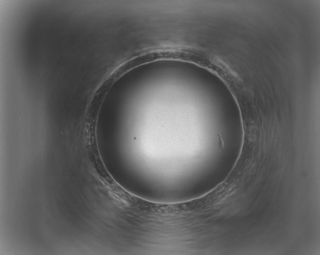 X0000071351208200606261333