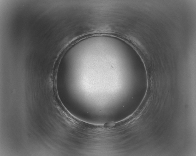 X0000071351212200606261333