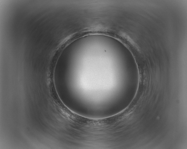 X0000071351213200606261333