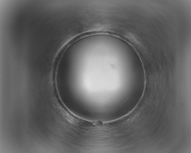 X0000071351216200606261333