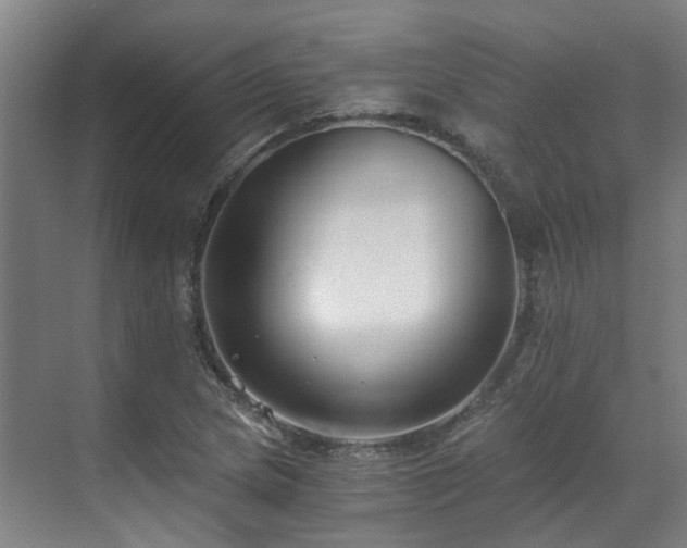 X0000071351217200606261333